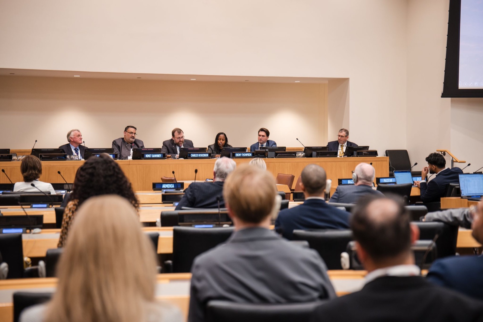 The panel in session, seen from the floor of the conference room with delegates seated at country-labelled desks